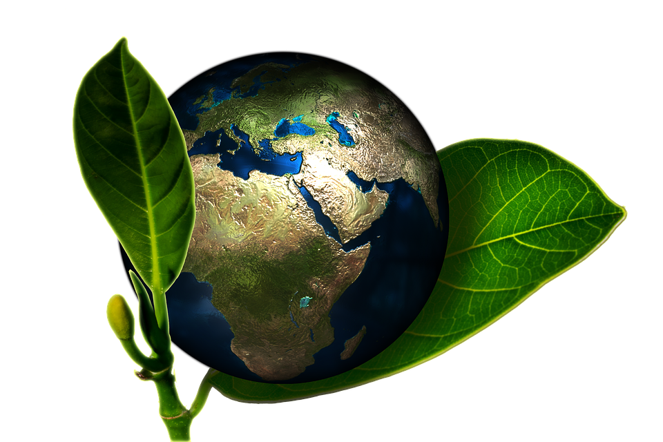 GREEN EARTH