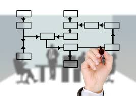 committee / organization