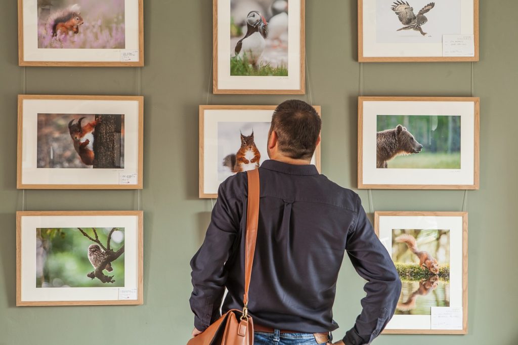 Gallery NEEDPIX.COM
