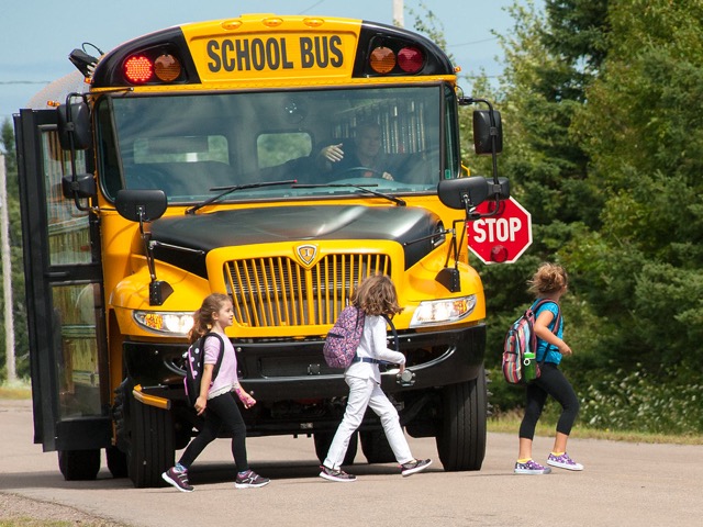 school bus