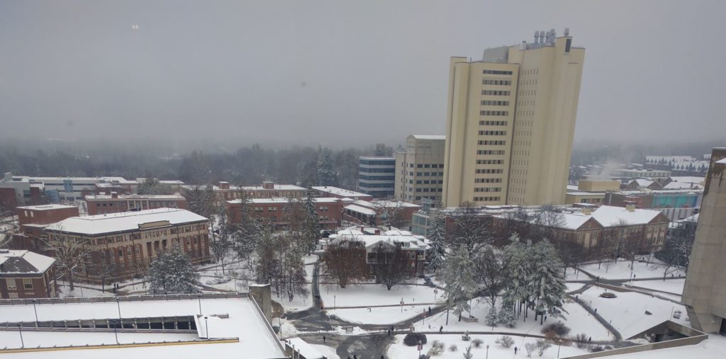 UMass_Amherst