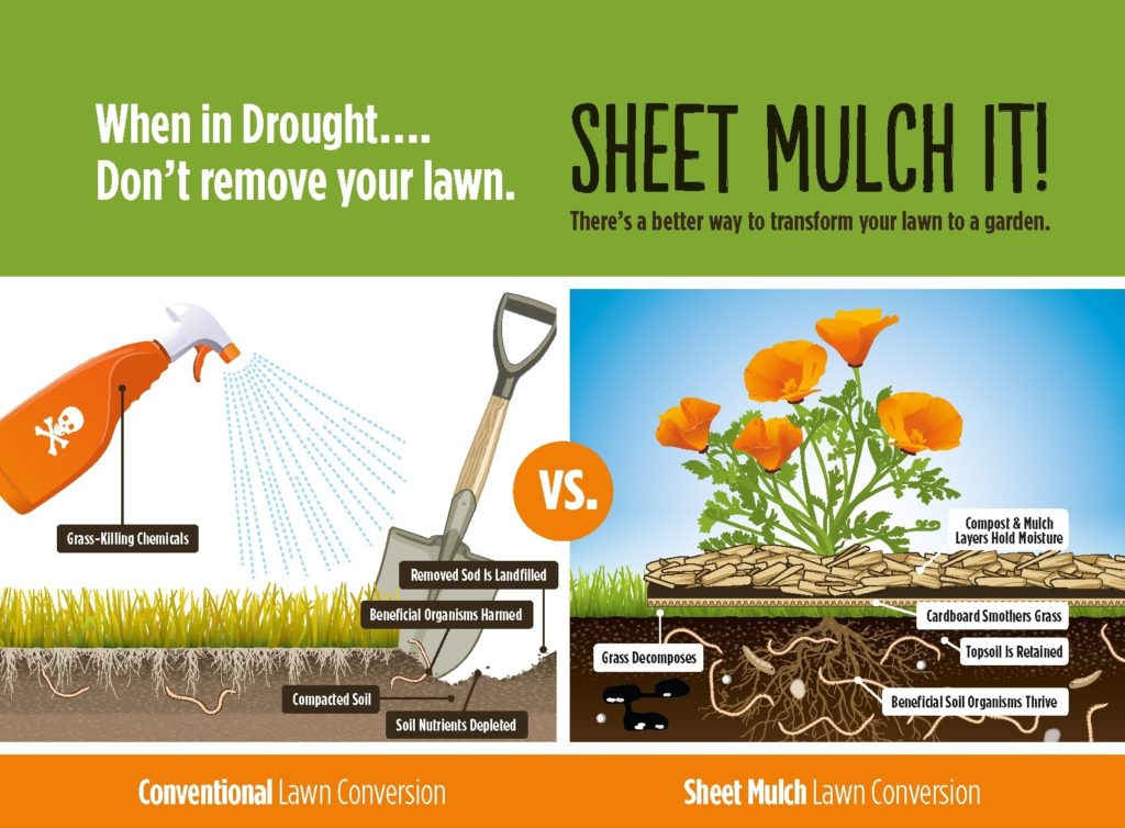 Sheet Mulch It! cropped_0