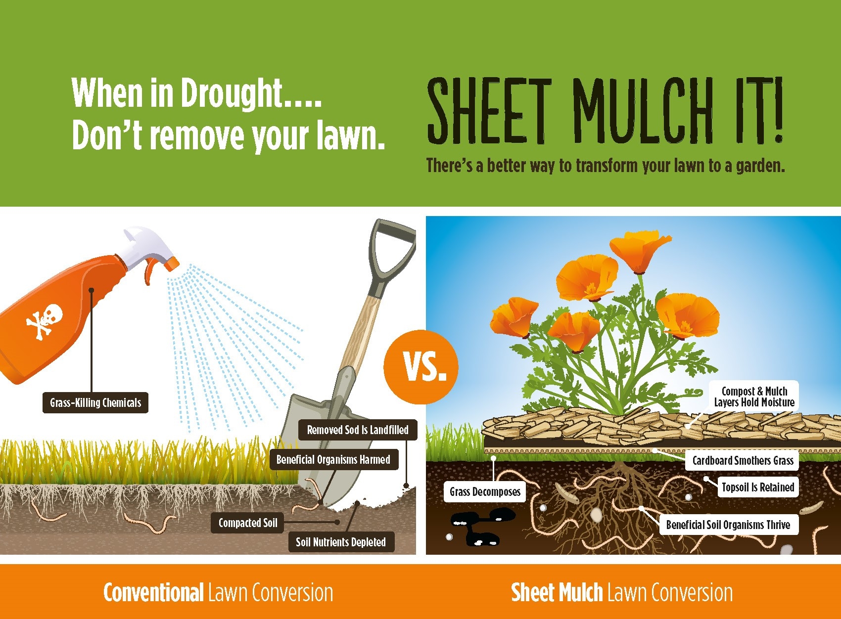 National Pollinator Week Day 4 Establishing Garden Beds And Wildflower Meadows Amherst Indy