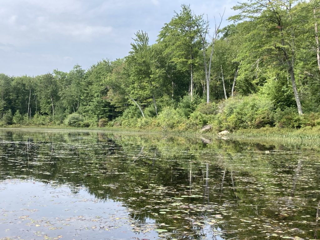 Wicket pond 8-21
