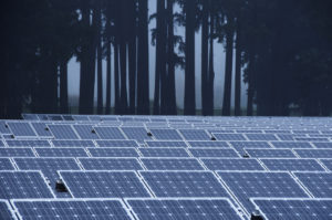 Solar_panels_in_the_mist_(6474147839)