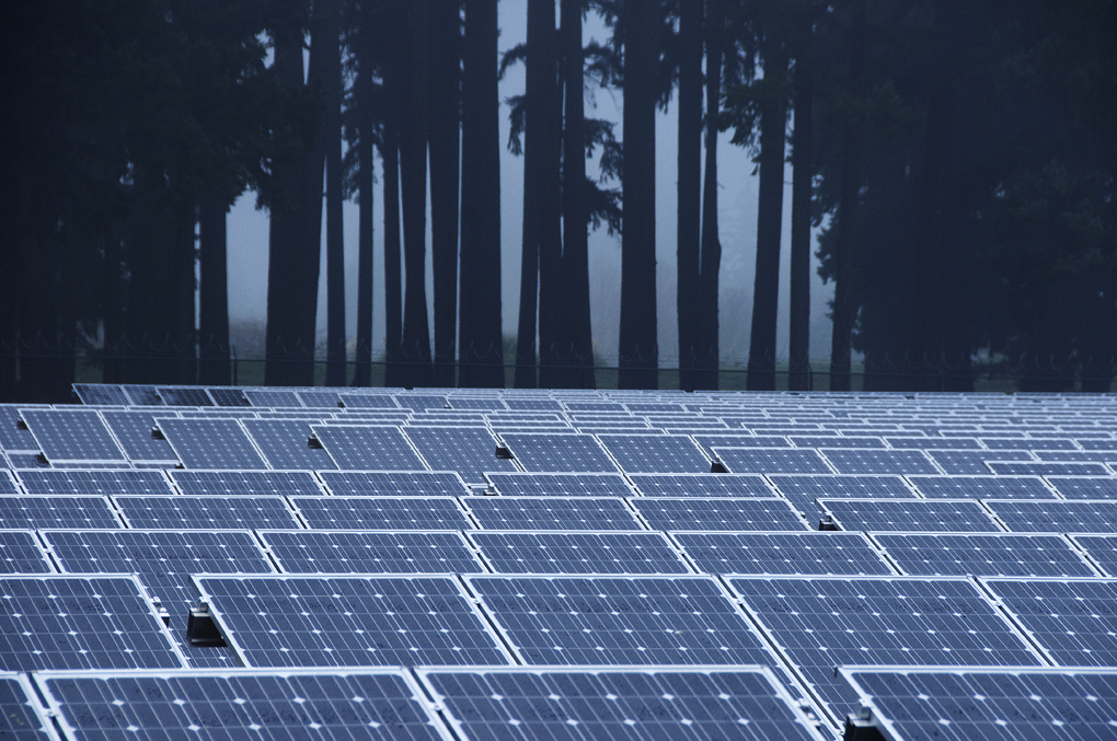 Solar_panels_in_the_mist_(6474147839)
