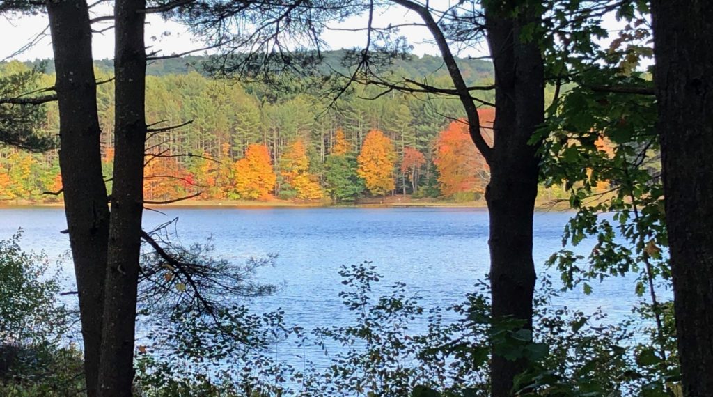 Atkins Reservoir. Fall foliage