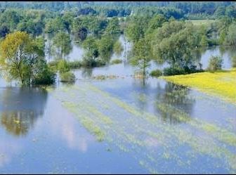 floods