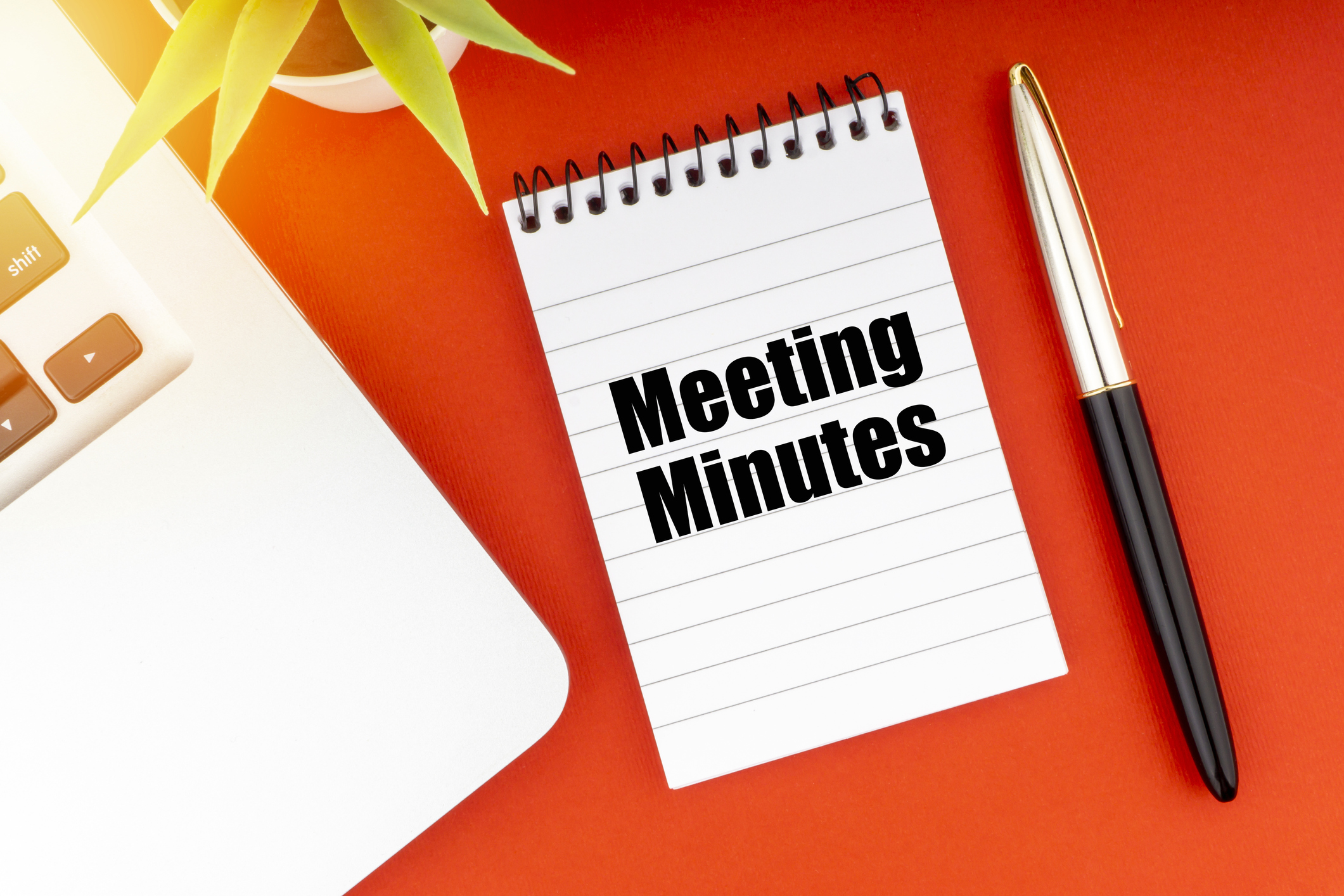 Meeting Minutes