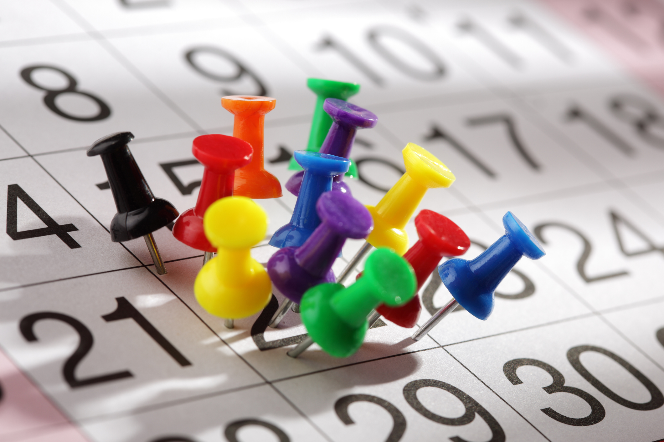 packed calendar