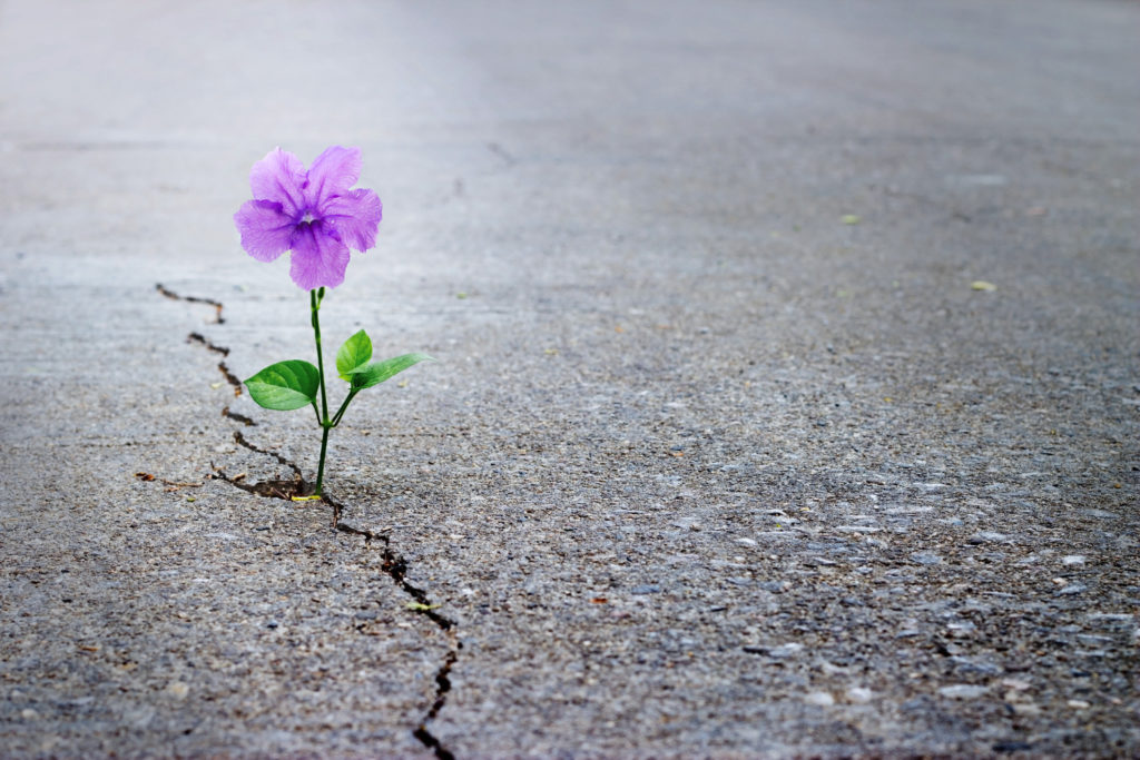 hope