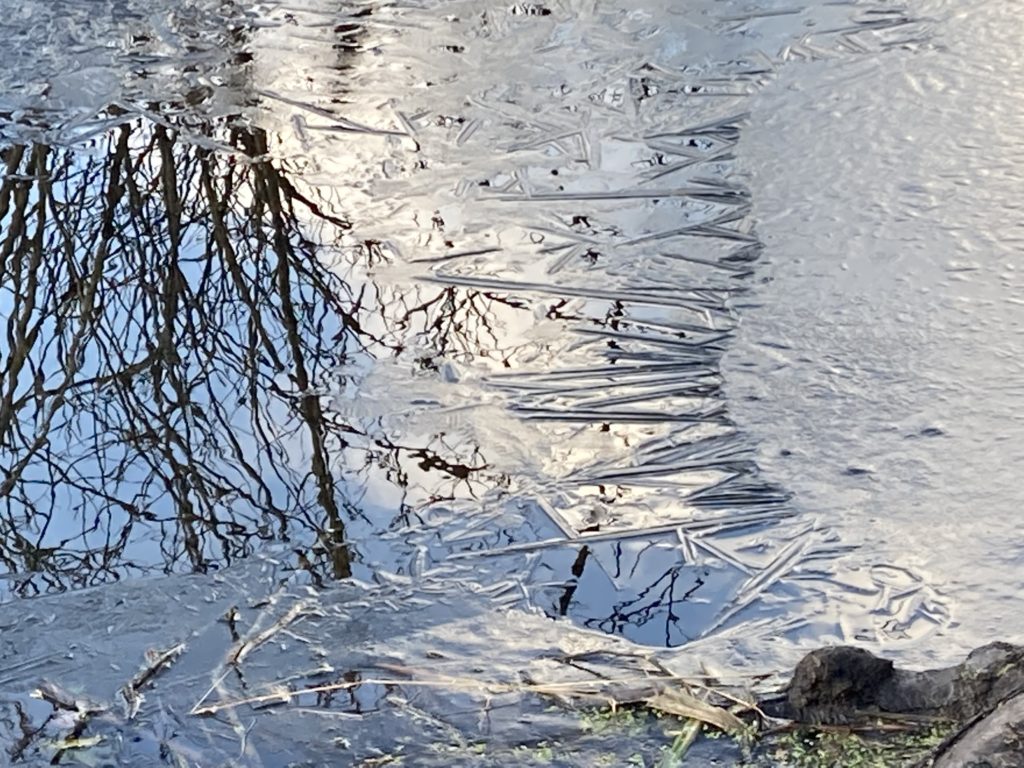 Almanac: An Ode To Ice