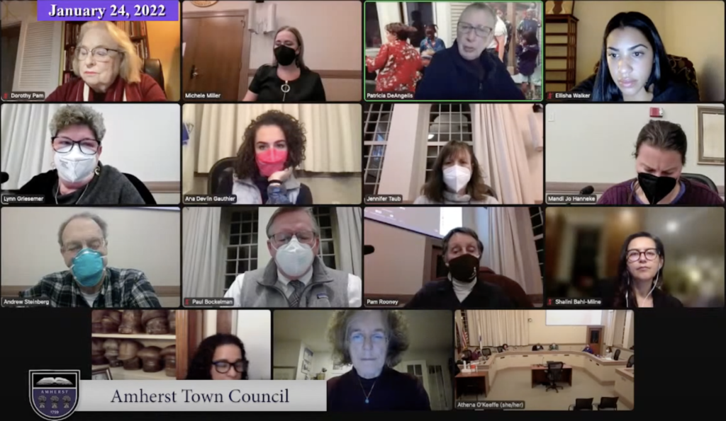 Hybrid Town Council Meeting