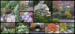 Jones Library Kinsey Memorial Garden