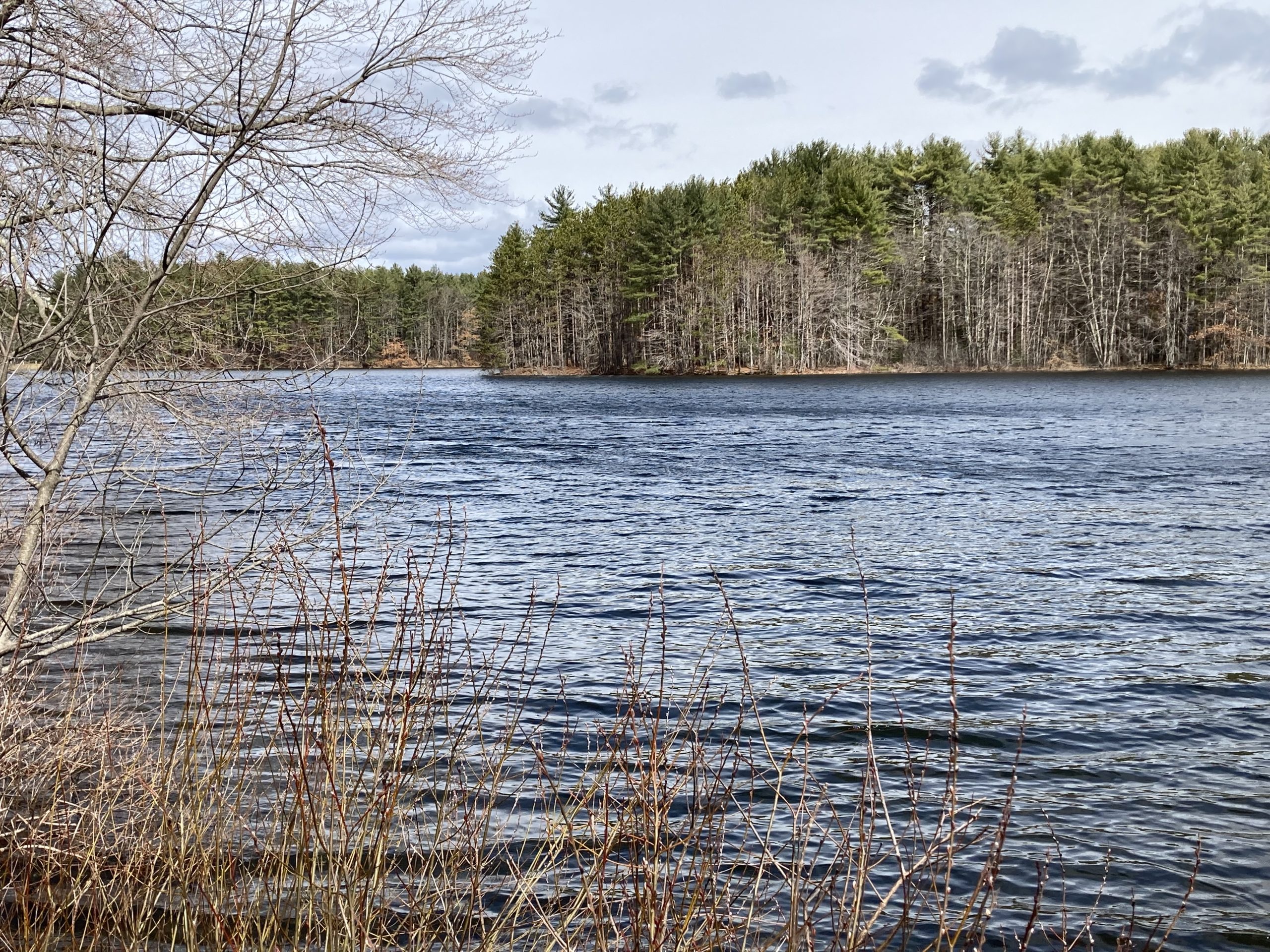 Almanac Warm Blood In A Cold Swamp Amherst Indy