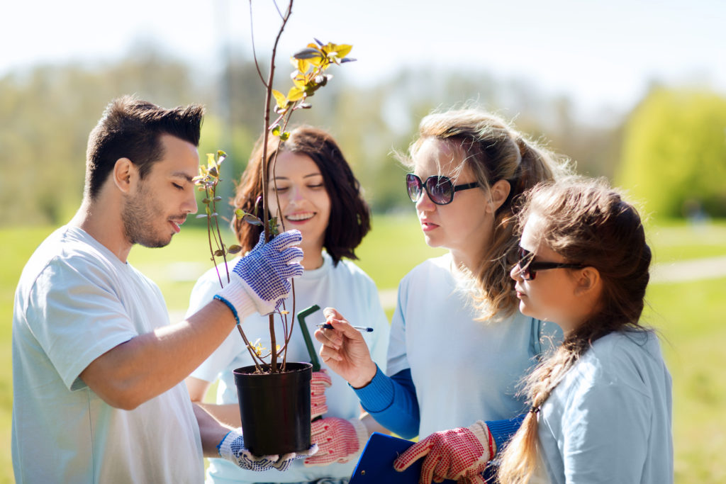 group of volunteers planting trees in park