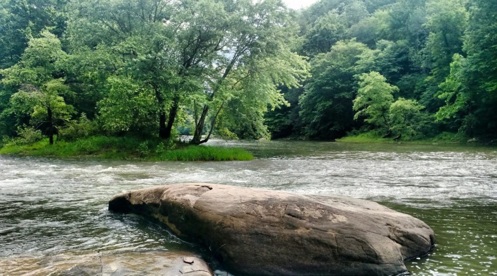 nature