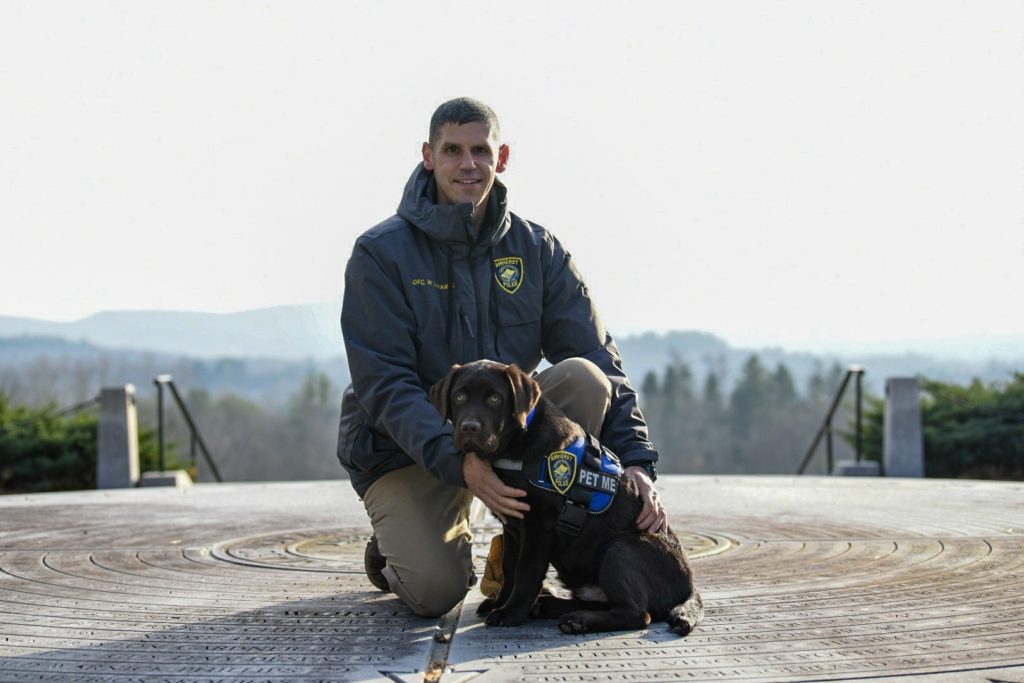 Amherst Police, Community, Mourn Loss Of Winston, The Town Comfort Dog