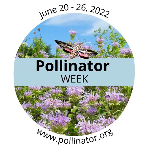 national pollinator week
