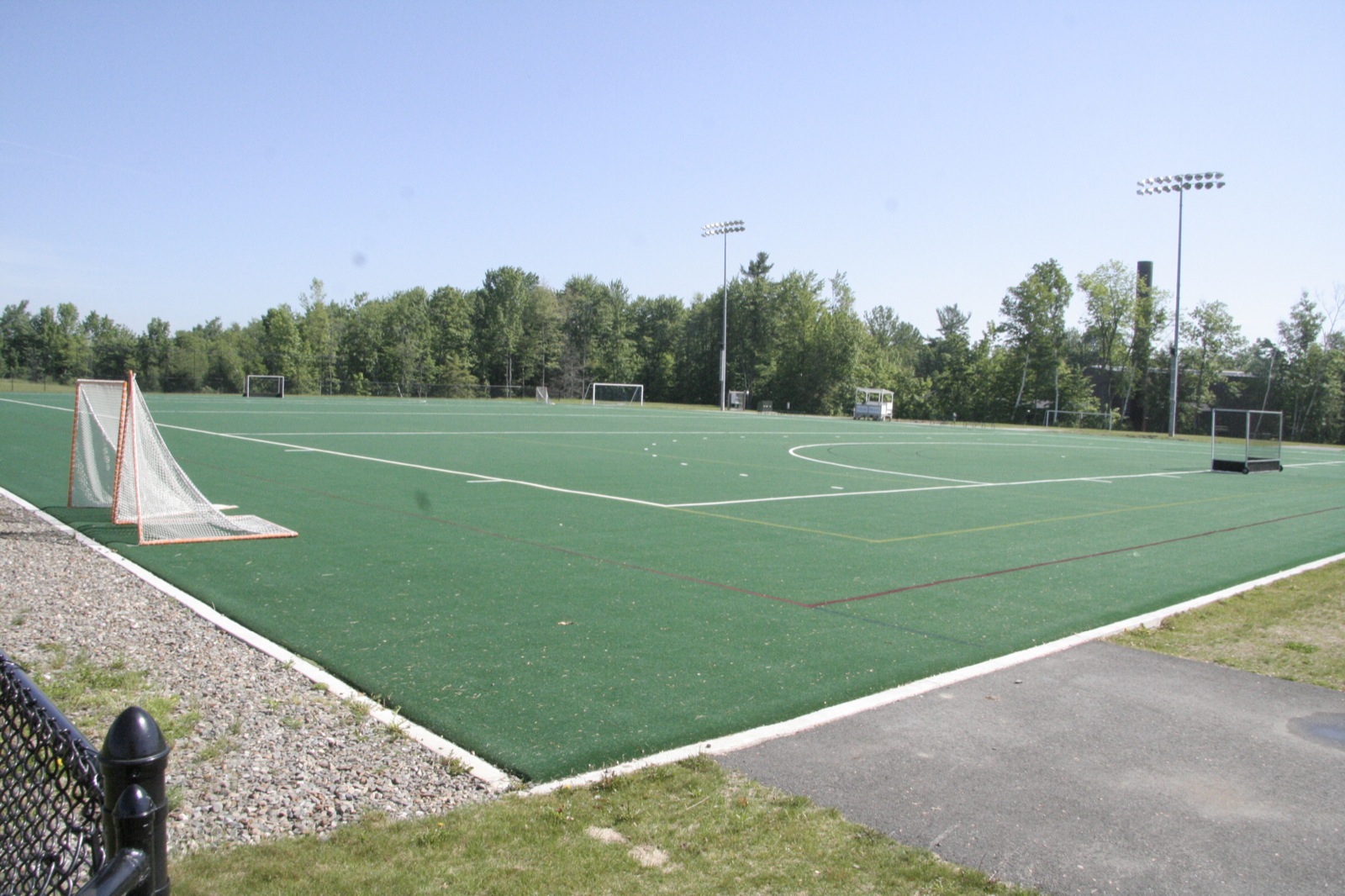 artificial turf synthetic turf