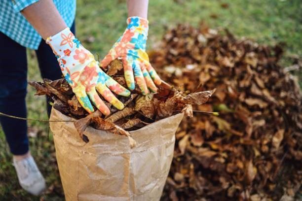 Bagging Leaves