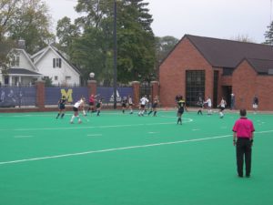 Photo:  Artificial Turf
