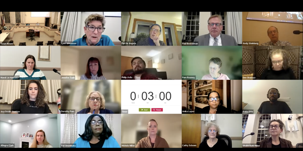 A Gallery of Voices From The Joint Meeting Of The Town Council And The CSSJC, November 1, 2022