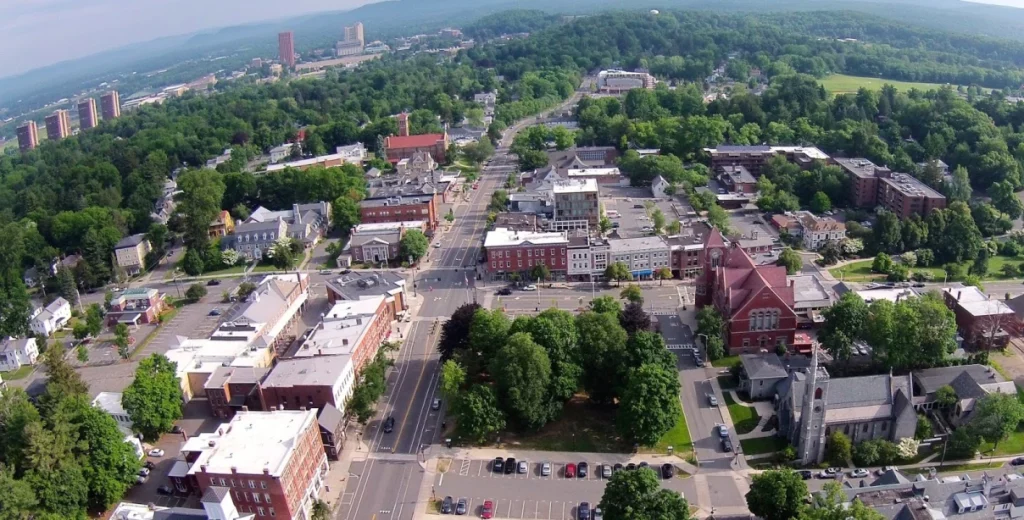 aerial town common downtown, shade trees