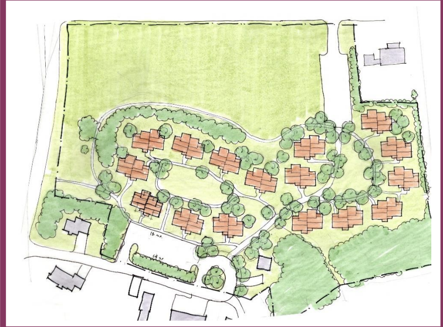 Feedback Live: Amherst Survival Center — Amherst Downtown