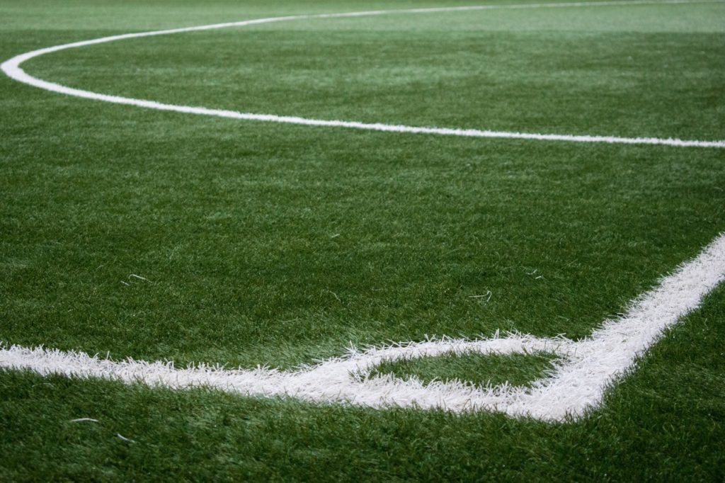 grass field