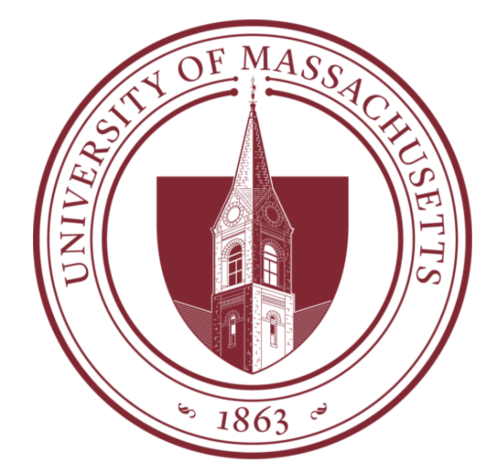 travel registry umass amherst