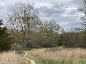 Dickinson trail 5-3-23