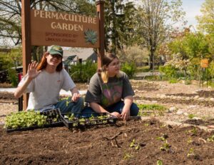 permaculture garden at UMass