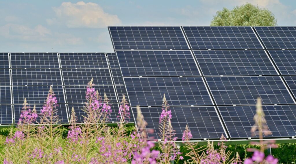 Opinion: Now Arriving, More Solar And Wind Power