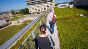 Green roof.  UMass
