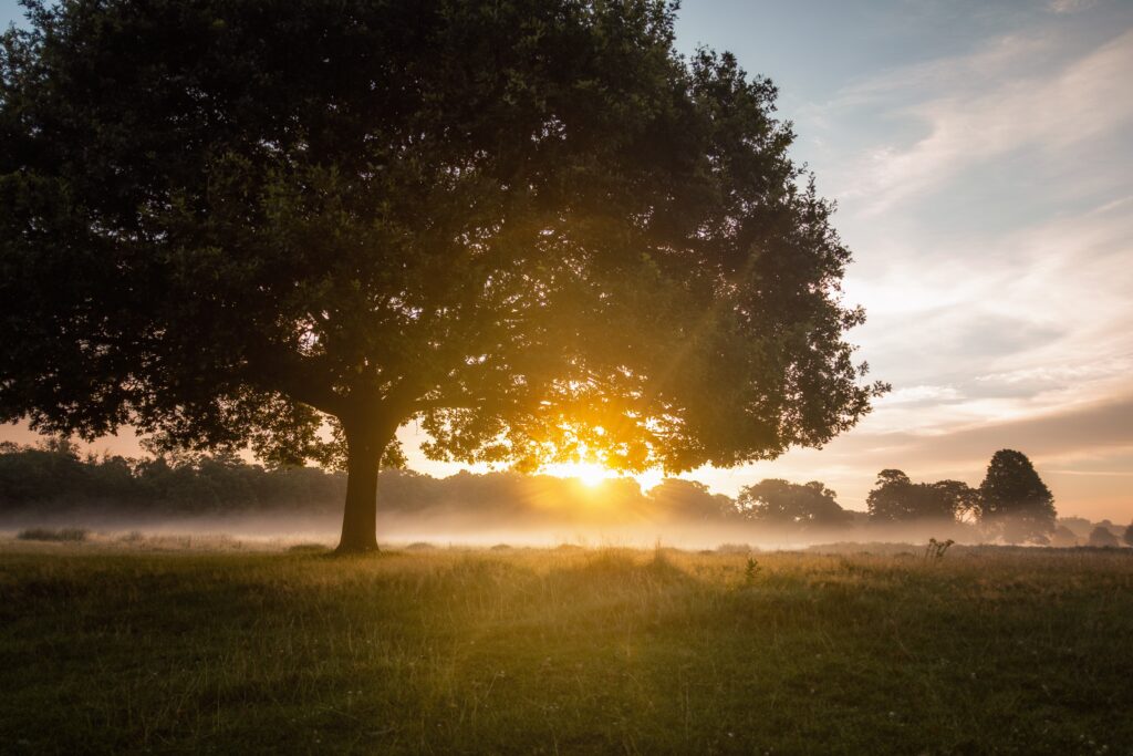 Dawn, sunrise, sunset