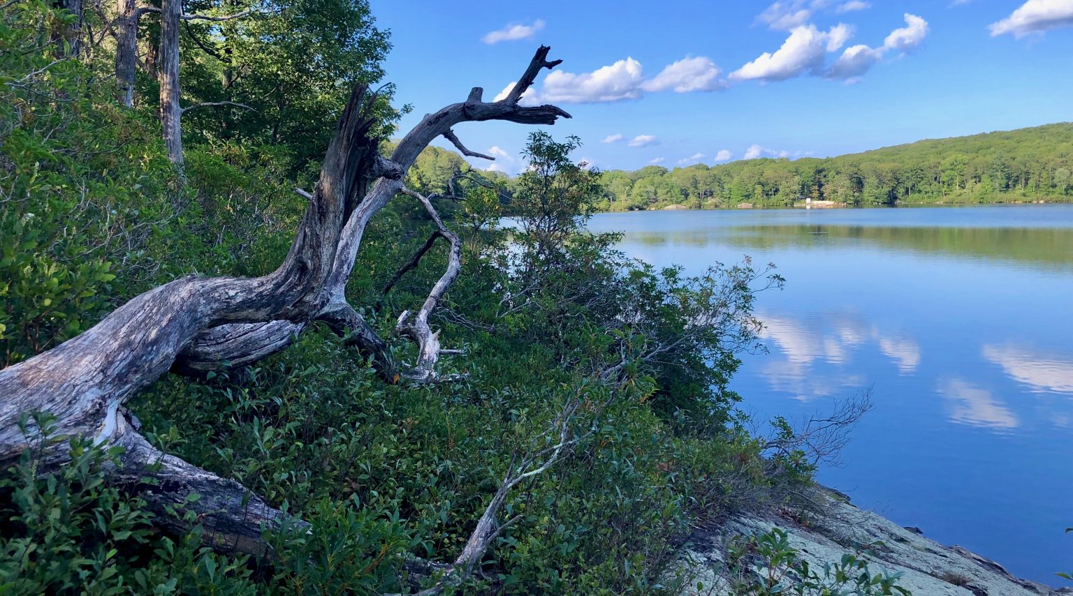 October 8, 2024 Amherst Indy