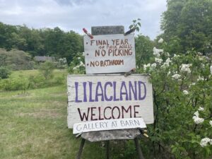 Photos of the Week: Farewell to Lilacland