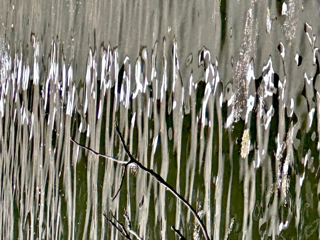 Photos of the Week: More Reflections from Dave Madeloni