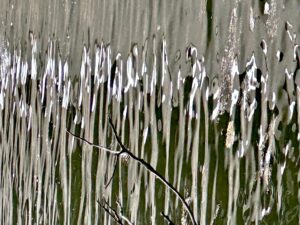 Photos of the Week: More Reflections from Dave Madeloni