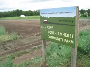 North Amherst Farm