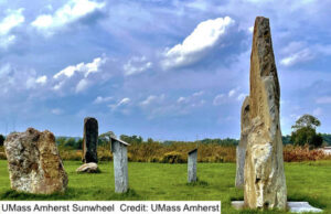 Umass Sunwheet