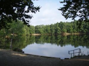Puffer's Pond