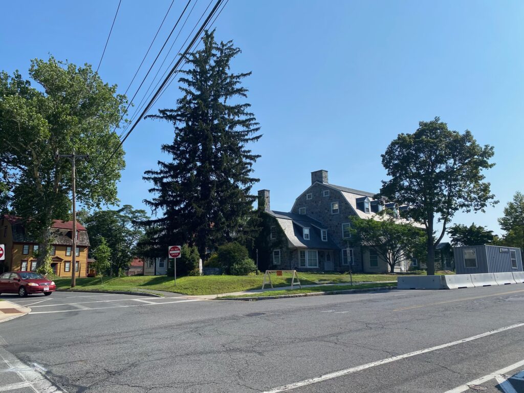 Letter: Majestic Norway Spruce is First Casualty of Library Project