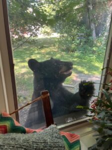 Photos of the Week: He Wants Me to Let Him In