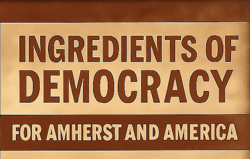 Ingredients of Democracy