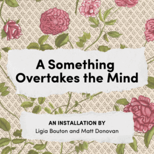 Opening Reception for “A Something Overtakes the Mind” at the Emily Dickinson Museum