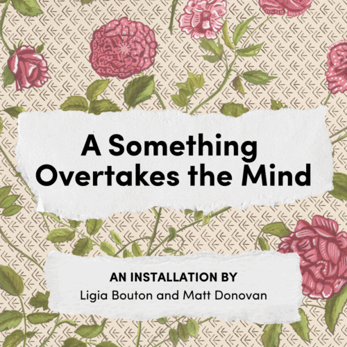 Opening Reception for “A Something Overtakes the Mind” at the Emily Dickinson Museum