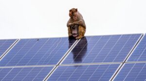 Opinion: Unstoppable Renewable Energy, More Heat, and a New Resource