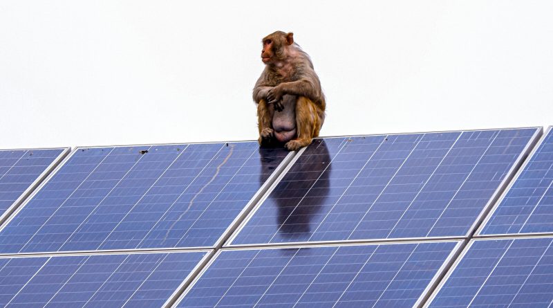 Opinion: Unstoppable Renewable Energy, More Heat, and a New Resource